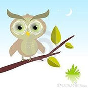 Sharon Miller's photo