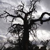 Tony Savoie's photo