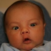Richard Grove's photo