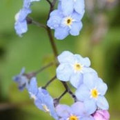 Foto von Joanne Page