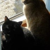 Julie Bailey's photo