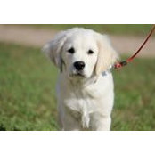 Missy Berman's photo