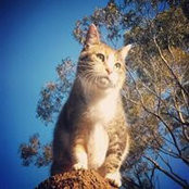 Megan Ross's photo