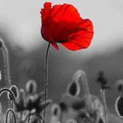 Photo de Lynette Freake