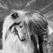 Mihaela Bivol's photo