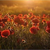 Allison Qadoom's photo