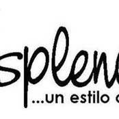 Alquileres Esplendor's photo
