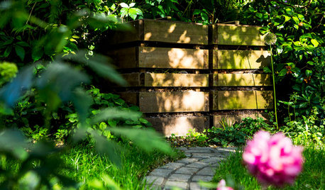 Biodéchets : vers une révolution écologique en 2024