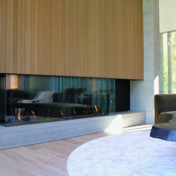 Architectural Living Room with Integrated Fireplace Wall