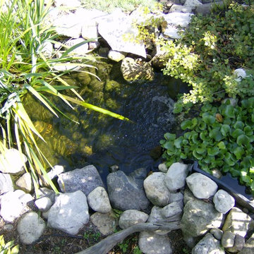 Lombard Water Gardens