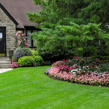 Planting and Maintenance