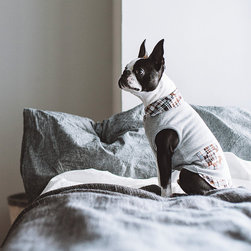 シック＆シンプルな犬用品 - 犬用品