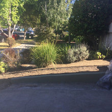 Front Side Yard