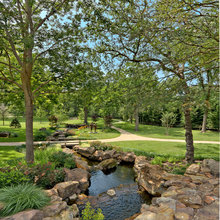 Backyard For Retirement