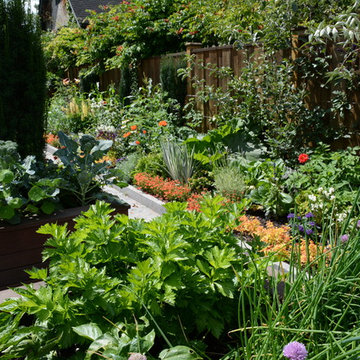 Raised Vegetable Bed / Ornamental Garden 2016