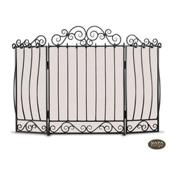 Villa Carlotta Screen in Black - Fireplace Accessories