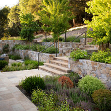Calistoga