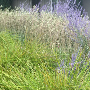 Habitat Garden