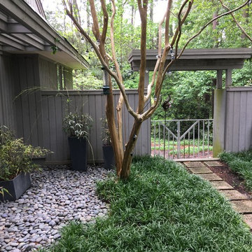 Shaded Asian Garden