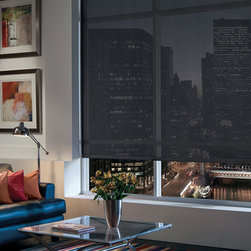 Hunter Douglas Designer Screen Shades - Window Blinds