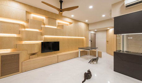 Room Tour: A Cat-Centric Living Room