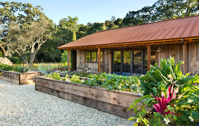 How to Grow Your Own Sweet Summer Crops