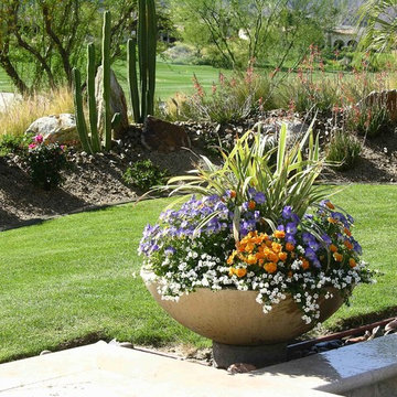 Pool, Spa, Deck and Landscape Remodel