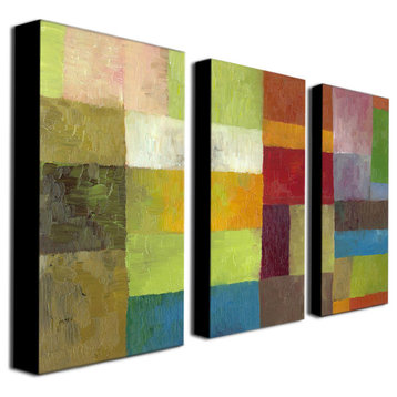 'Abstract Color Panels IV' Multi-Panel Canvas Art Set by Michelle Calkins