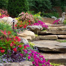 waterfall flowers