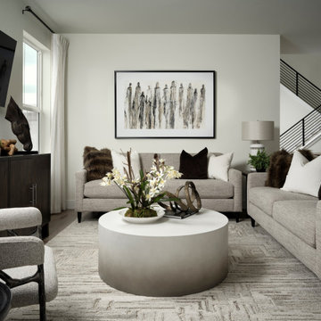 Sterling Ranch Duet Plan 3 - TruMark Homes