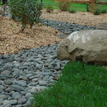 Dry River Bed