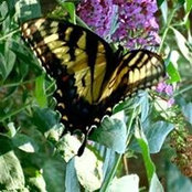 Kimberly Porter's photo