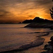 Terry Filter's photo