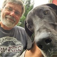 Penumbra Designs's profile photo