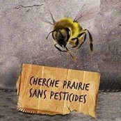Aurelie Bentue-ferrer's photo