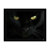 Luigi Degrada's photo