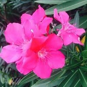 Sandy Beech's photo