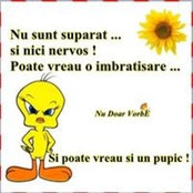 Tavaszi Laszlo Arpad's photo