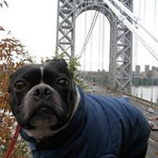 Camie Kornely's photo