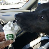 Melissa Chow's photo