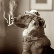 Jeff Gatsie's photo