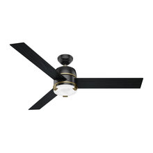 Ceiling Fans