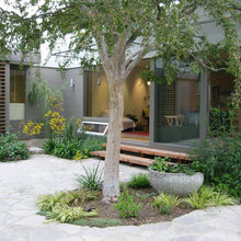 Curvy patio