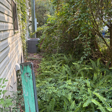 Overgrown Landscape Cleanup & Property Restoration