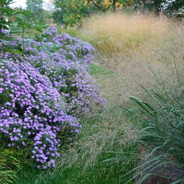Complete New Planting Design in Towson, MD