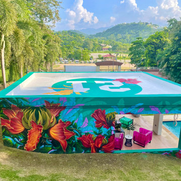 Airbnb and reggaeton artist Daddy Yankee collaboration
