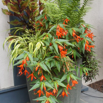Fabulous Container Gardens