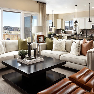 Delaney model home in Colorado