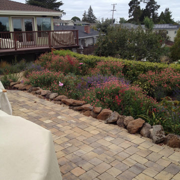 Landscape Design & Build