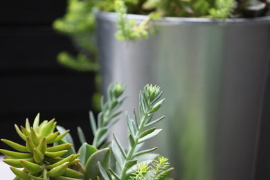 Inspiration for a modern landscaping in Seattle.